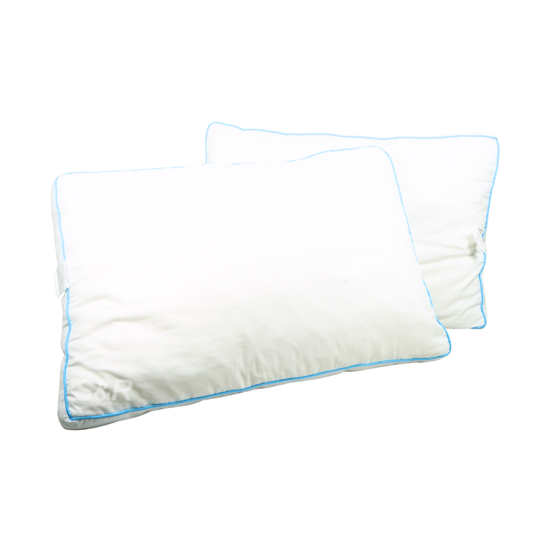 Silhouette 2-piece Collection Memory Foam Shapeable Comfort Pillow